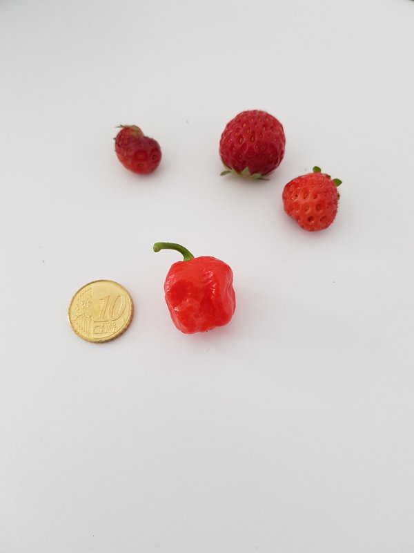 20180530_184329.jpg
