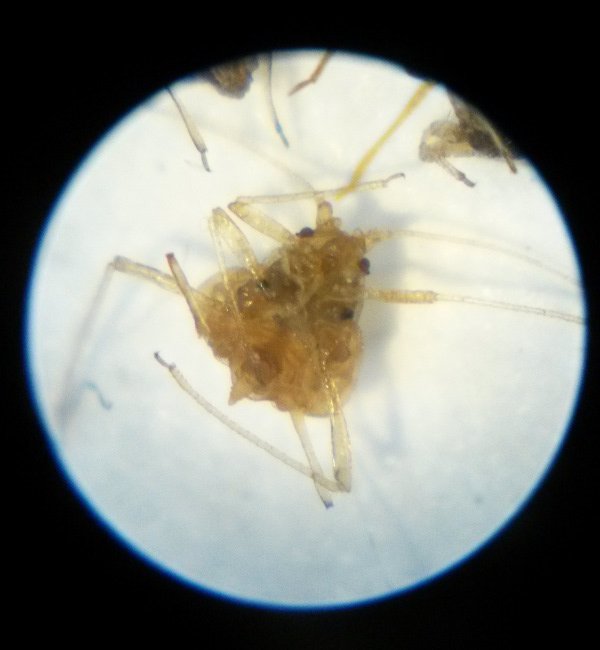 20180605_151735.jpg