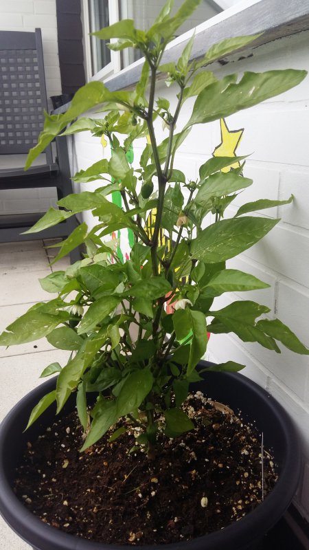 20180617_091441.jpg