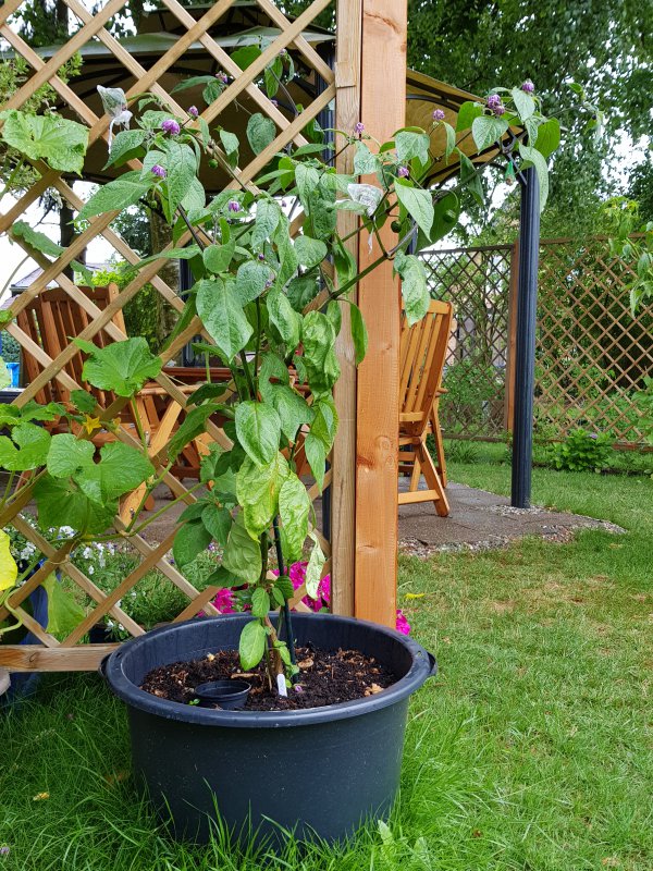 20180619_095301.jpg