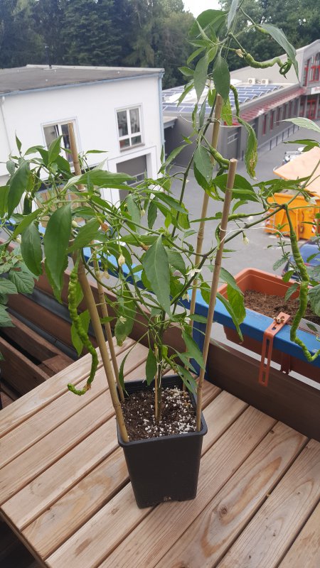20180621_192140.jpg