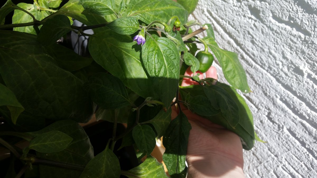20180708_145714.jpg