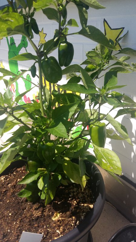 20180713_144036.jpg