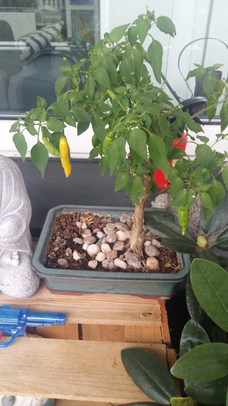 20180729_131058.jpg