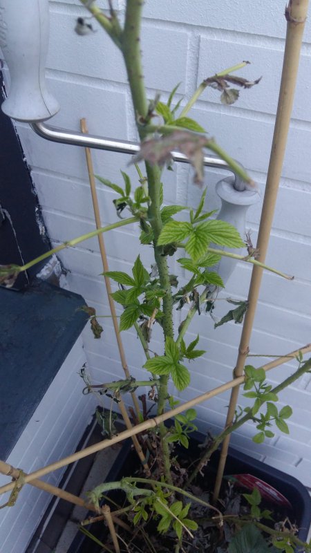 20180729_205850.jpg