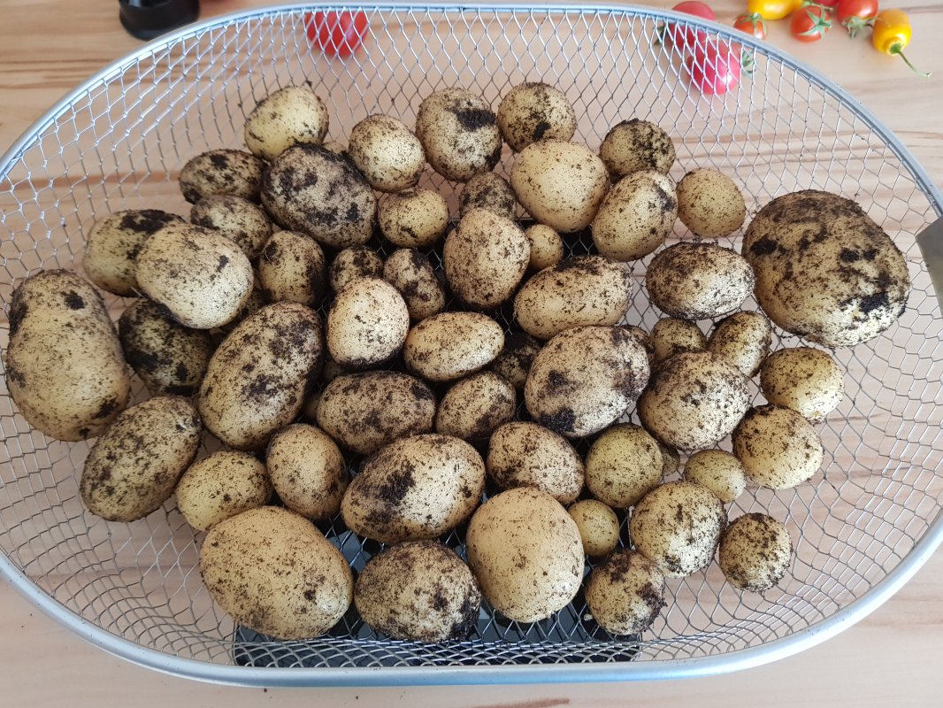 20180730_104528.jpg