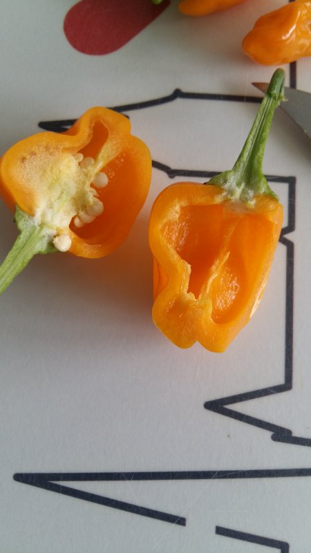 20180730_142721.jpg
