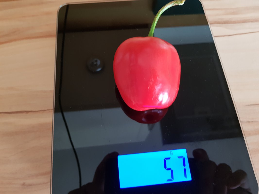 20180804_163457.jpg