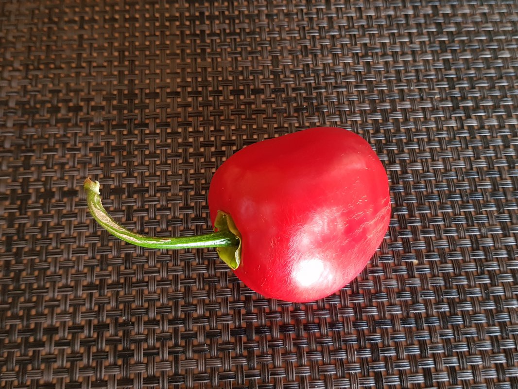 20180804_163529.jpg