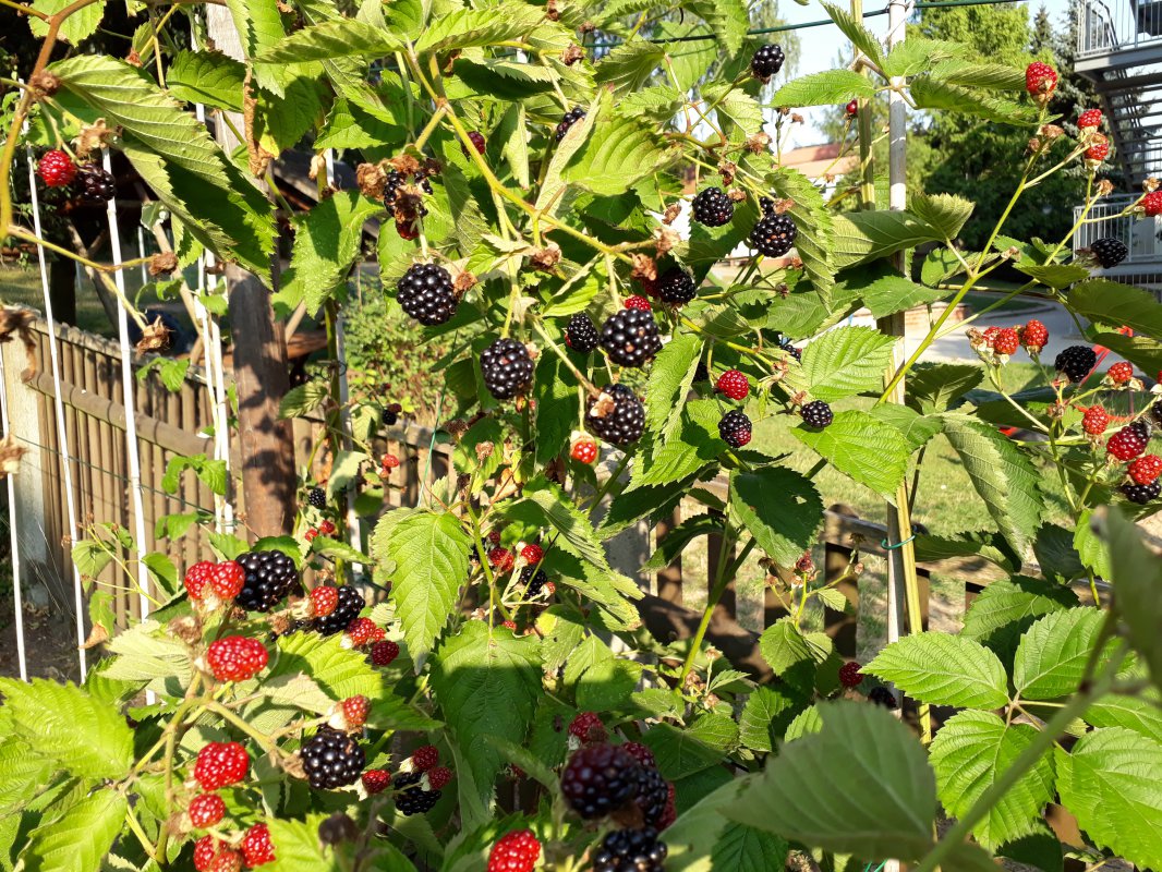 20180818_174056.jpg