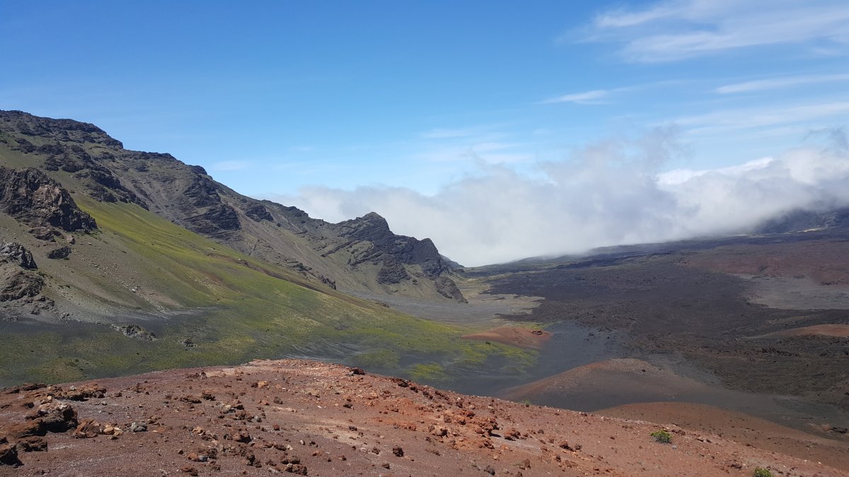 20180821_131554.jpg