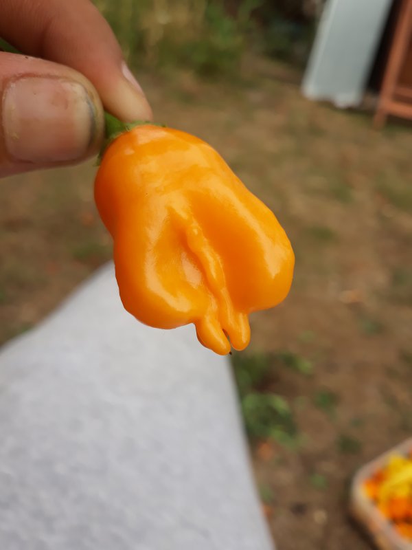 20180821_174453.jpg