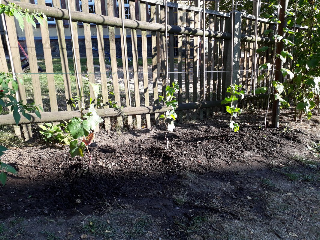 20180908_173239.jpg