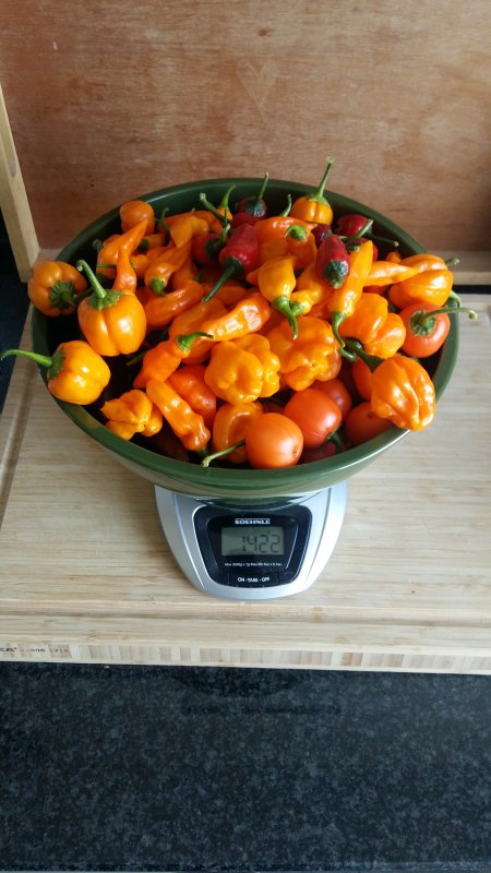 20180917_124349.jpg