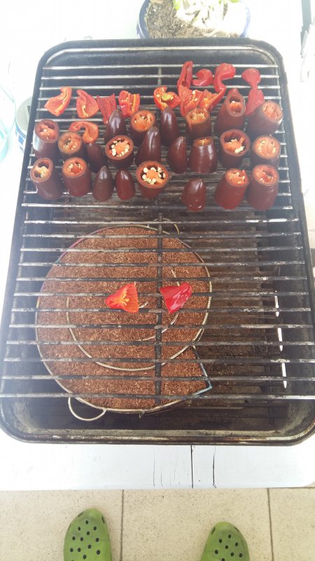 20180917_134558.jpg