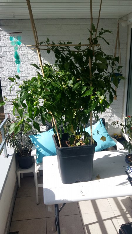 20181001_130916.jpg