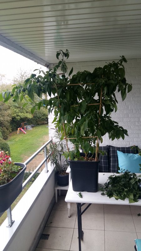 20181002_104927.jpg