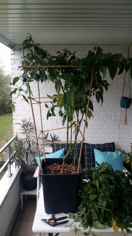 20181002_105645.jpg