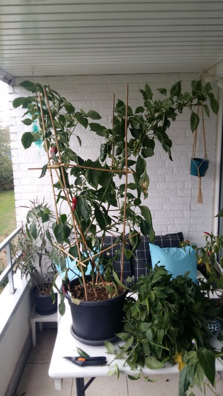 20181002_105757.jpg