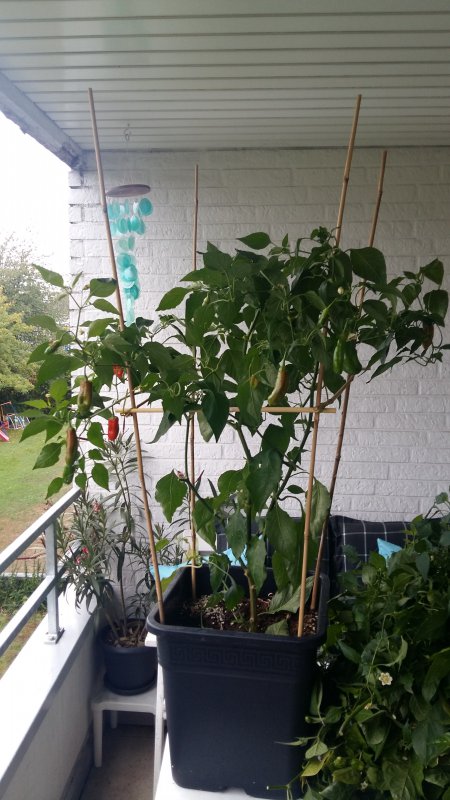 20181002_160652.jpg