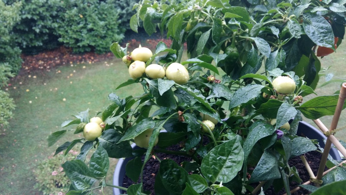 20181002_160728.jpg