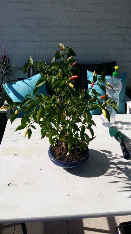 20181005_142205.jpg