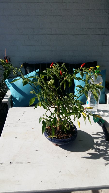 20181005_142211.jpg