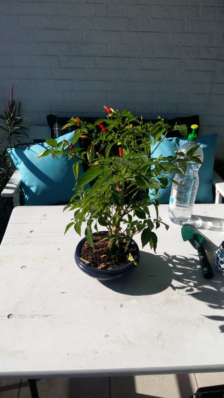 20181005_142217.jpg