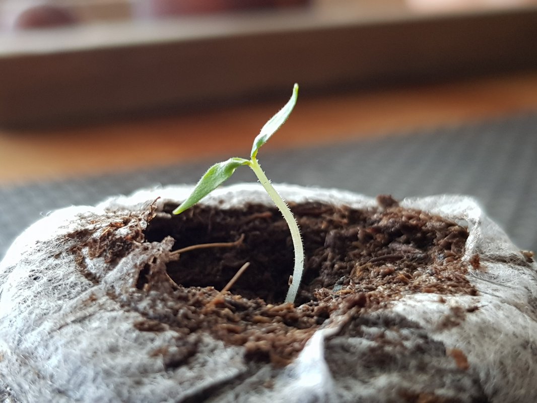 20181015_155750.jpg