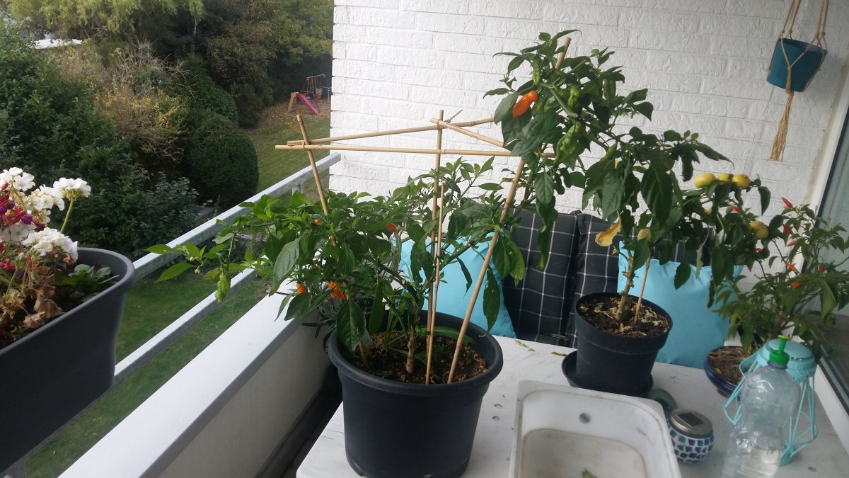 20181019_112442.jpg