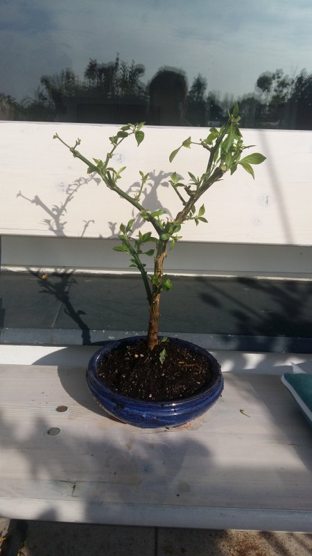 20181019_114416.jpg