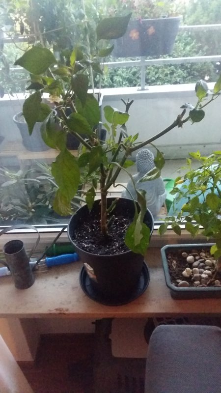 20181023_173703.jpg