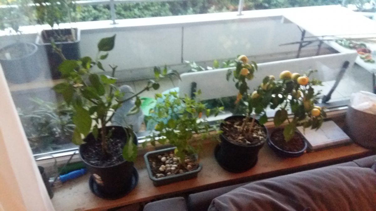 20181023_173712.jpg