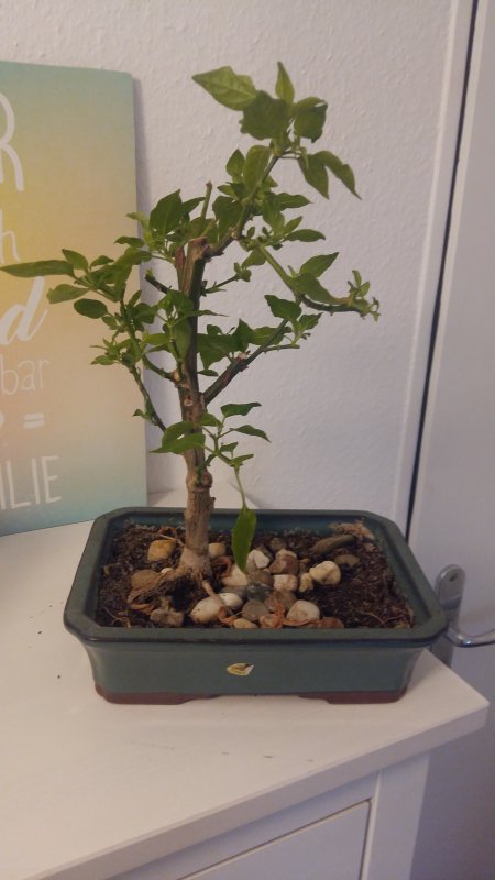 20181208_101646.jpg