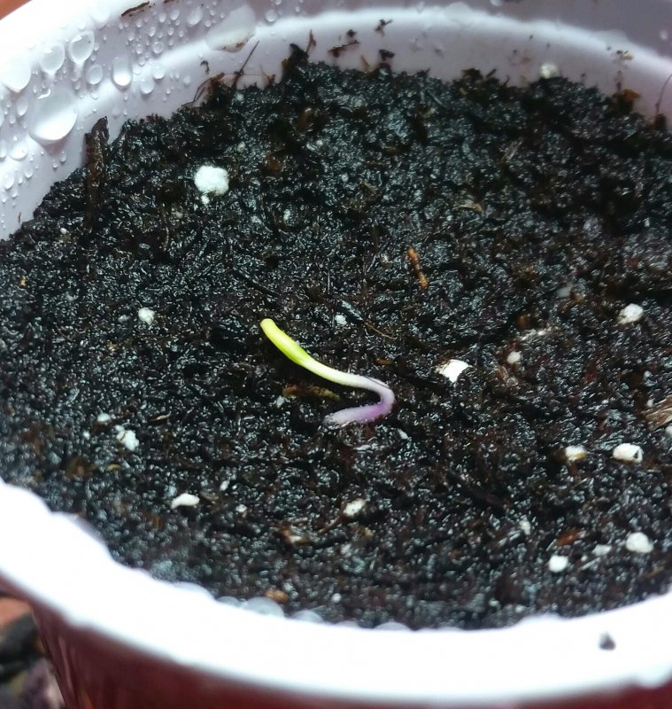 2019-01-04 13.15.56.jpg