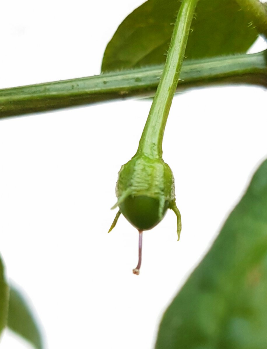 154188