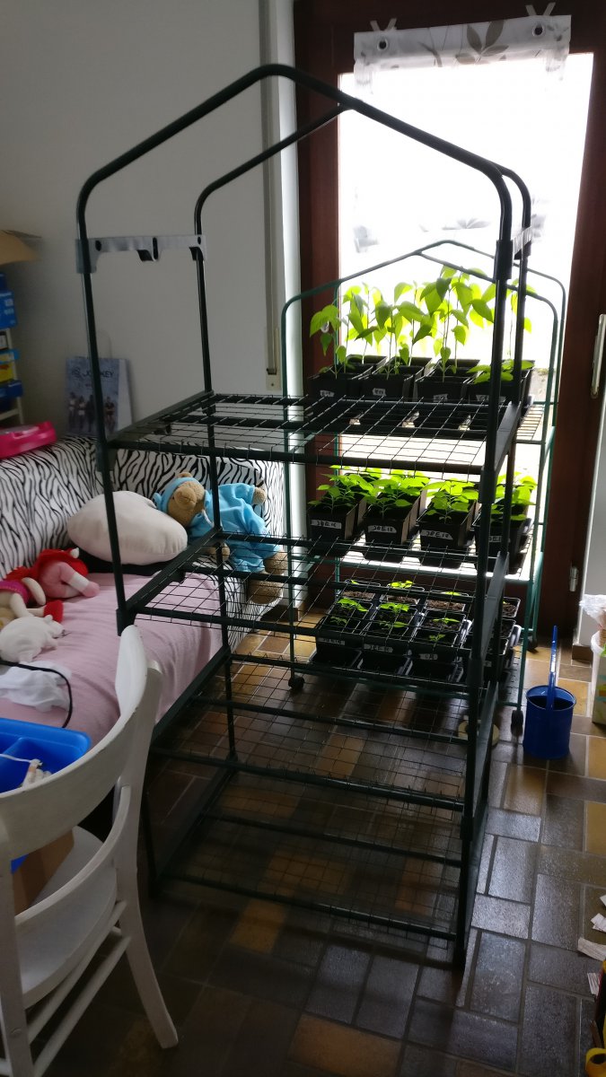2019-05-04 10.35.38.jpg