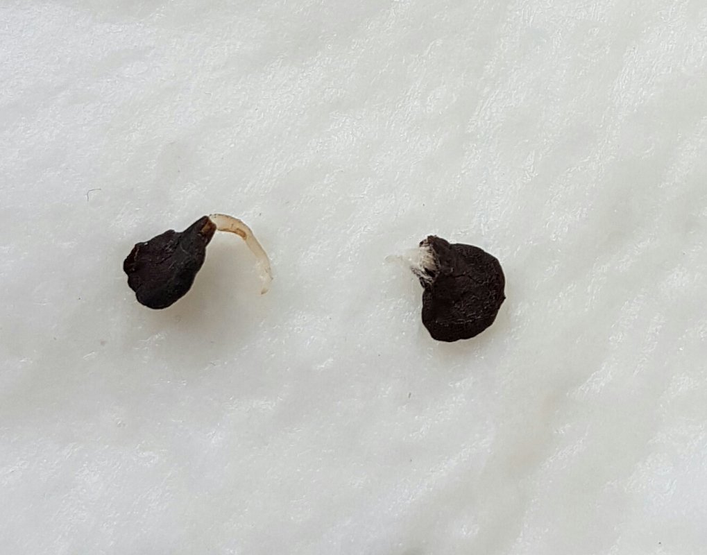 20190106_123556-1.jpg