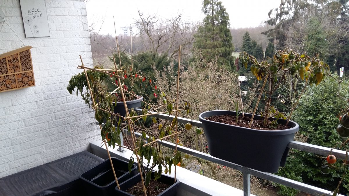 20190122_160131.jpg