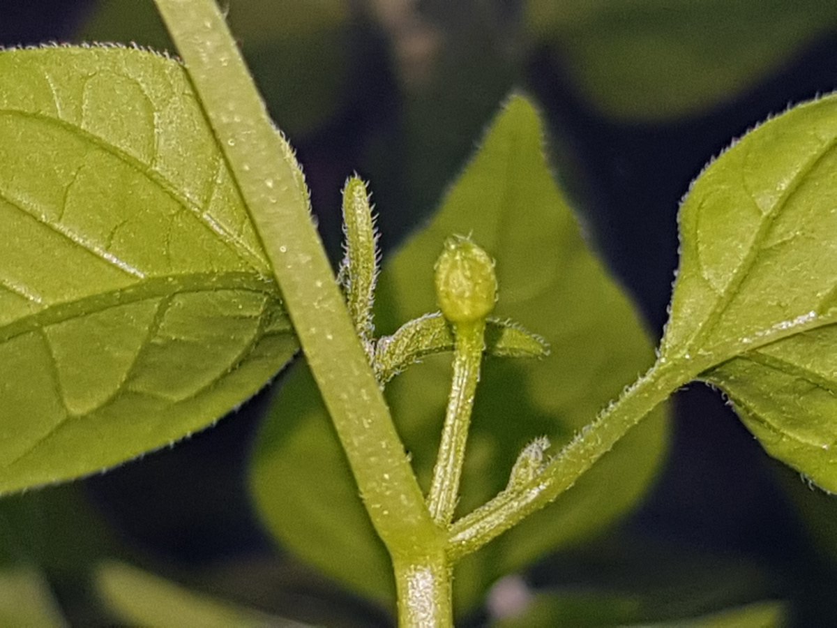 20190212_155930.jpg