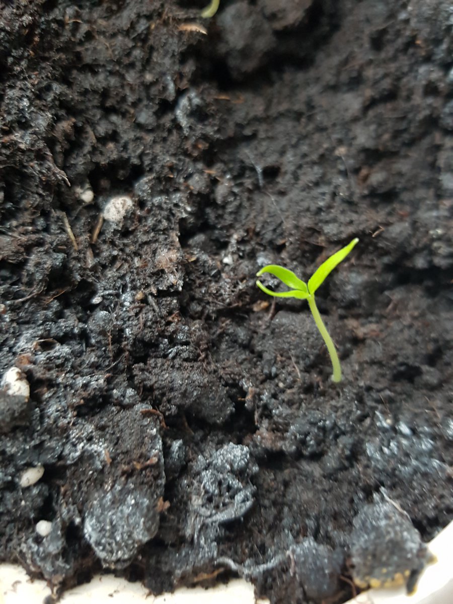 20190318_153049.jpg