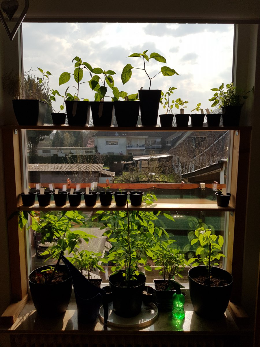20190330_100349.jpg