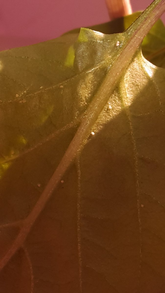 20190406_172637.jpg