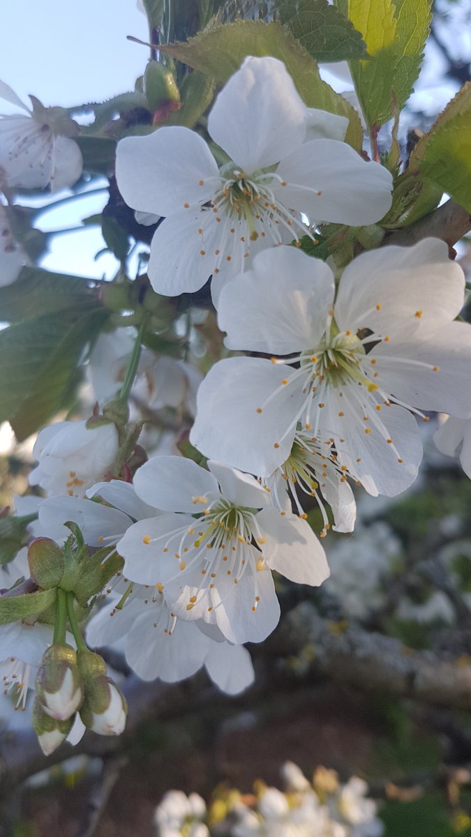 20190421_182922.jpg