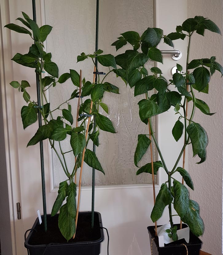 20190430_120045-klein.jpg