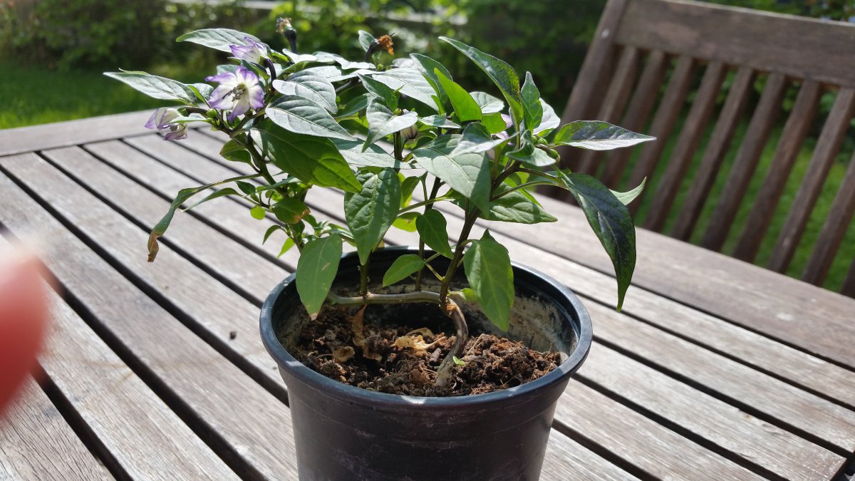 20190501_153834.jpg
