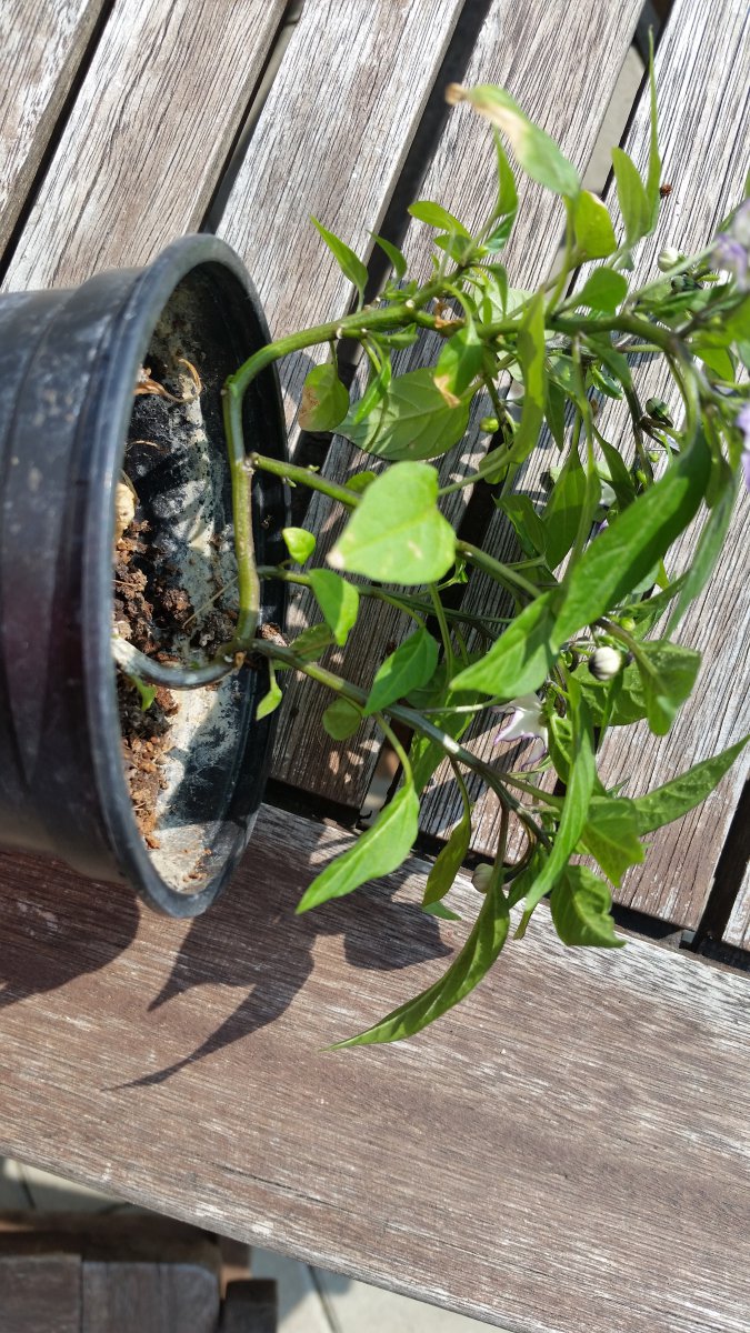 20190501_153855.jpg