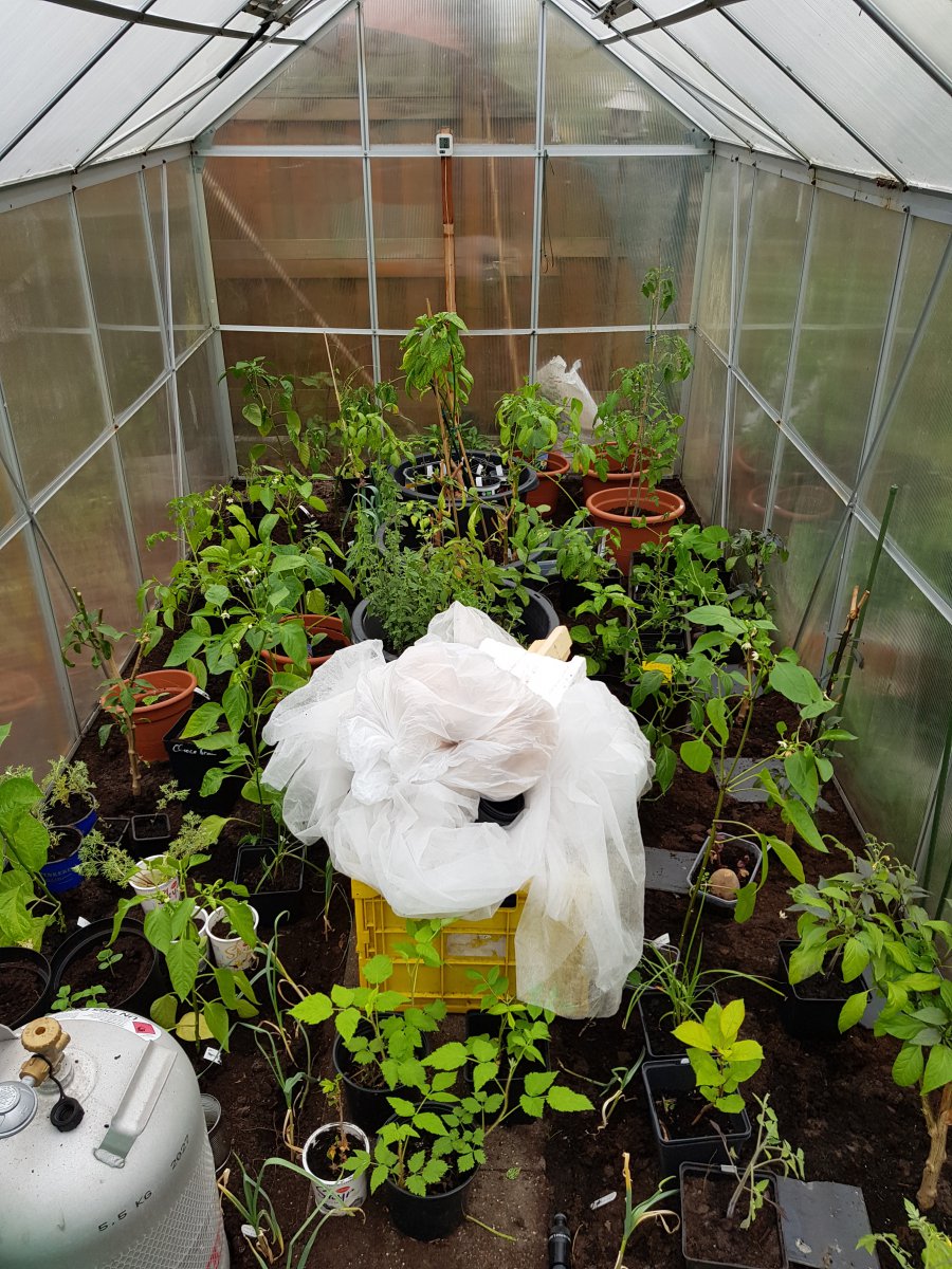 20190509_174441.jpg