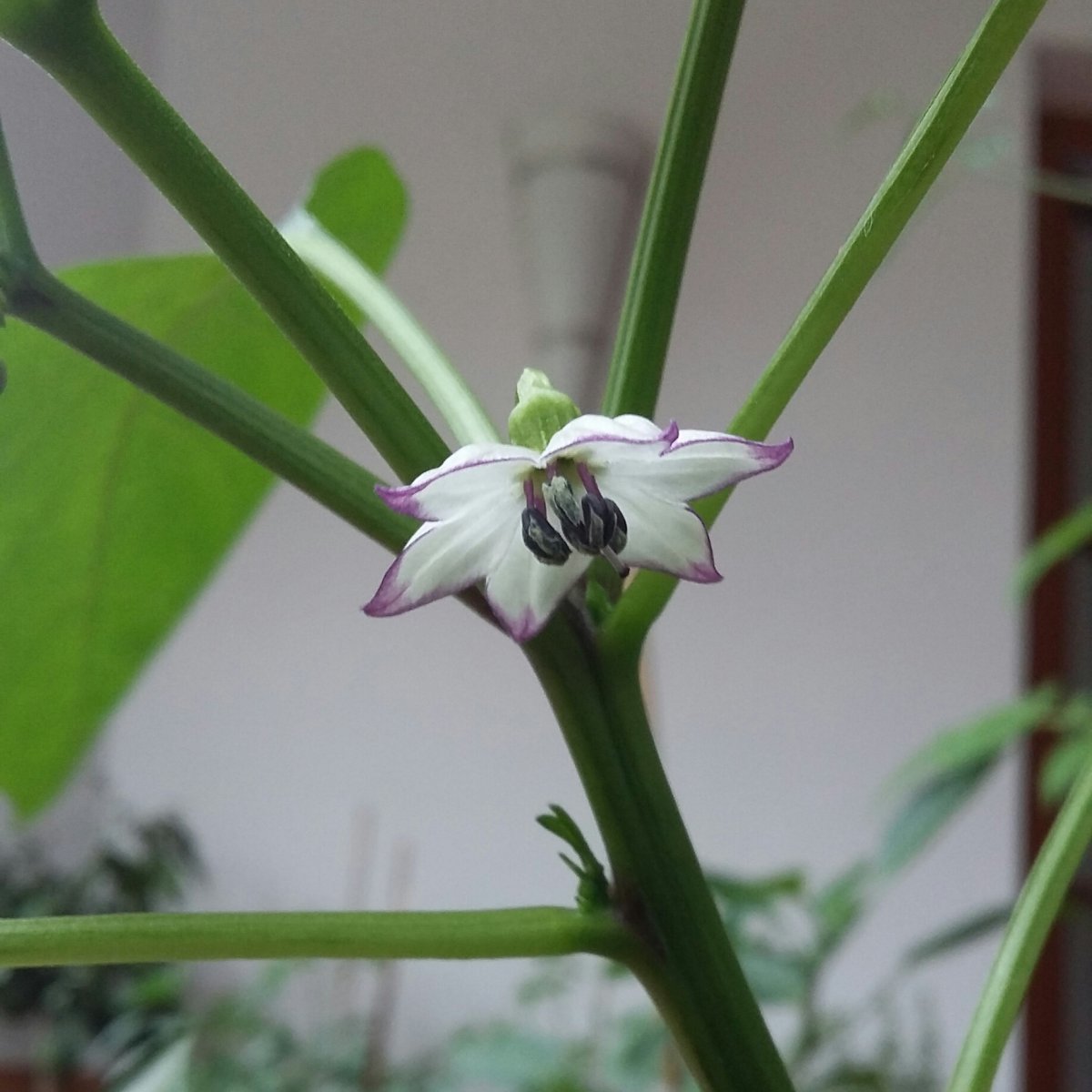 20190516_113912-1.jpg