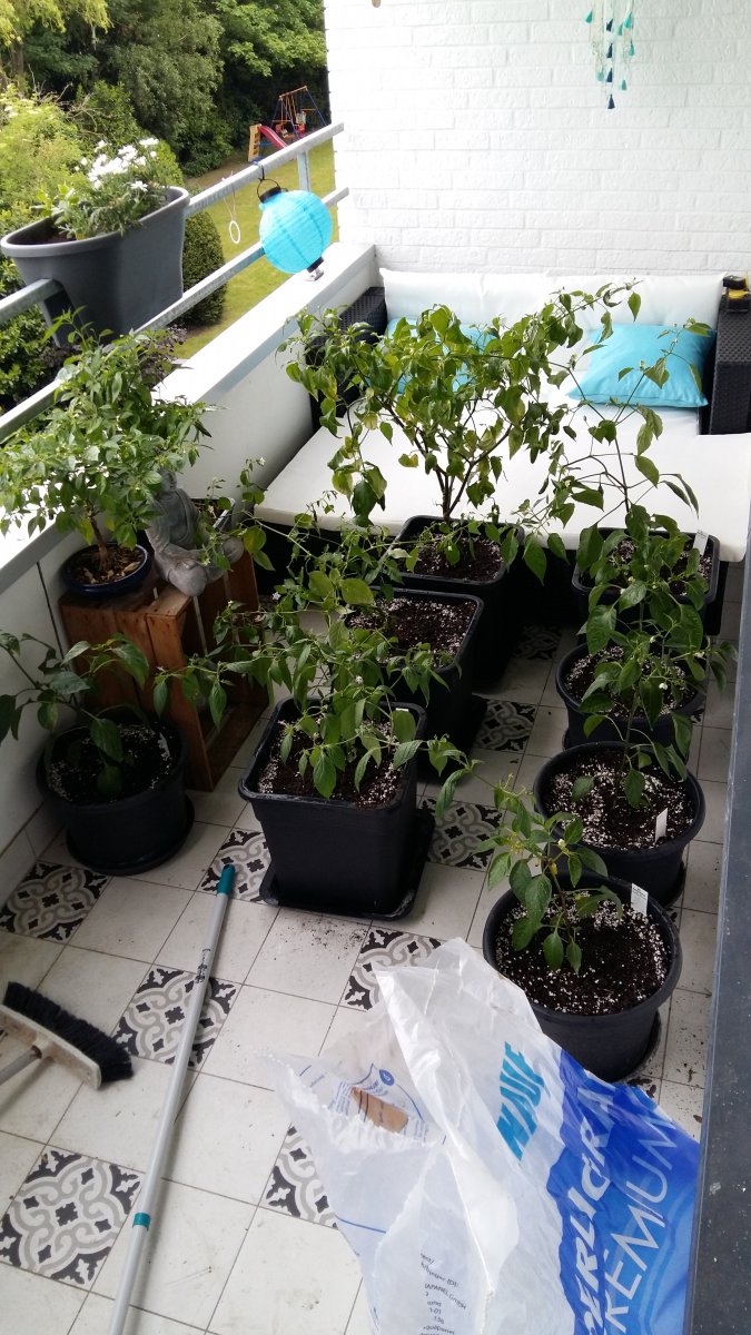20190516_183734.jpg